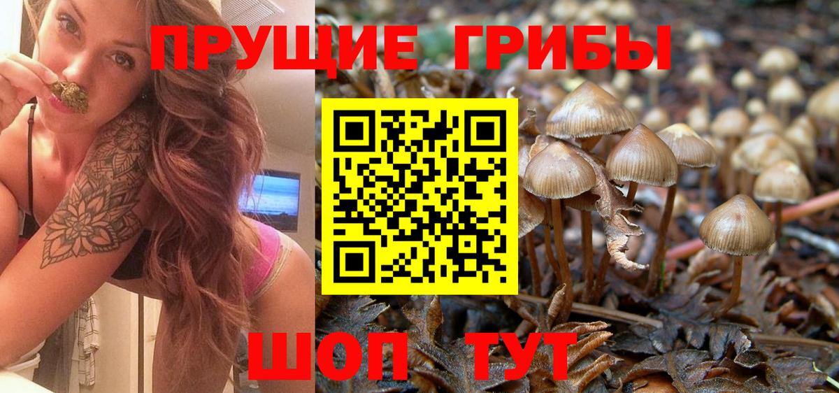 Псилоцибиновые грибы GOLDEN TEACHER Нерюнгри