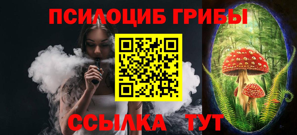 Нерюнгри  Псилоцибиновые грибы мухоморы  Вход с VPN 